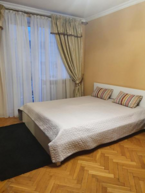 Затишна Квартира в центрі міста